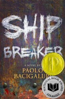 ship breaker