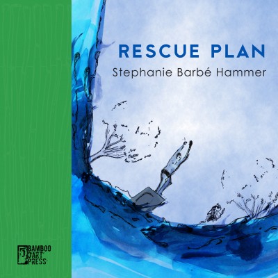 Rescue Plan book cover has boy jumping off a diving board into water