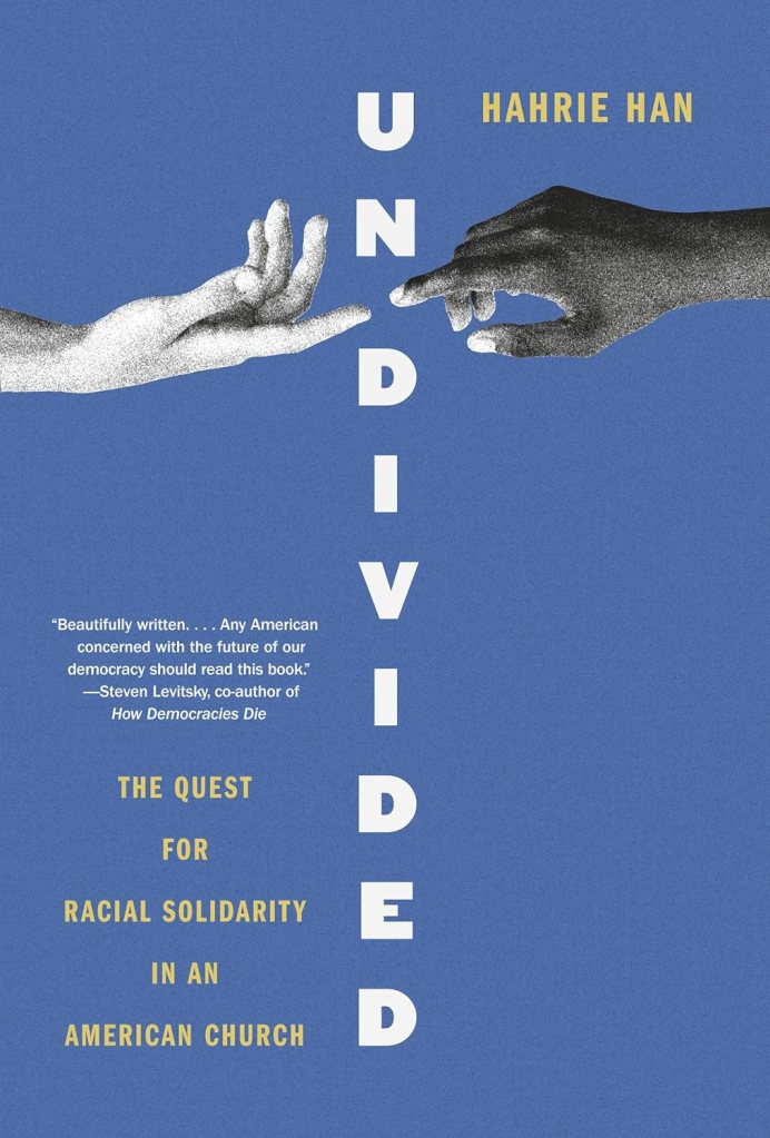 Book cover of "Undivided" has teh title written vertically through teh center and a white hand and a black hand on either side, reaching to touch each other.