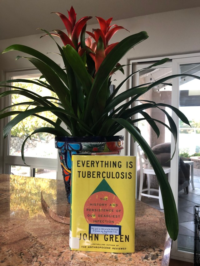 The book “Everything is Tuberculosis” in front of a scarlet star plant.